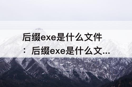后缀exe是什么文件：后缀exe是什么文件可以删除吗