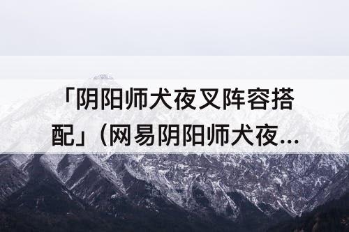 「阴阳师犬夜叉阵容搭配」(网易阴阳师犬夜叉阵容搭配)