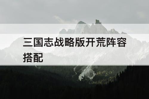 三国志战略版开荒阵容搭配