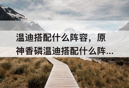 温迪搭配什么阵容，原神香磷温迪搭配什么阵容