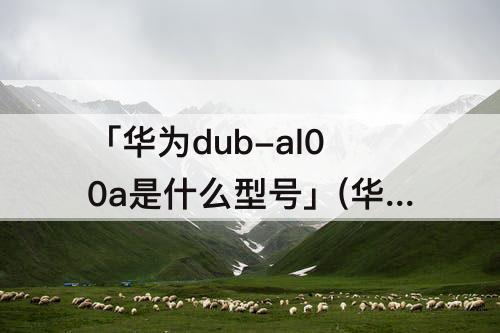 「华为dub-al00a是什么型号」(华为dub-al00a是什么型号多少钱)