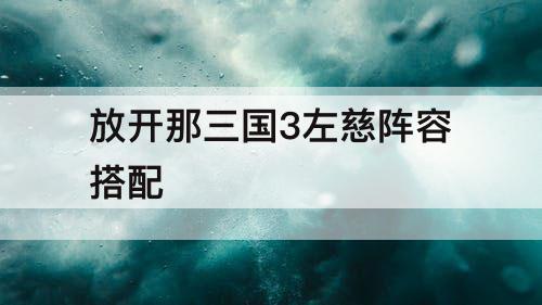 放开那三国3左慈阵容搭配