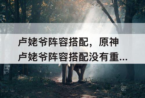 卢姥爷阵容搭配，原神卢姥爷阵容搭配没有重云