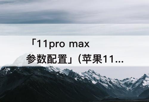 「11pro max参数配置」(苹果11pro max参数配置详情)