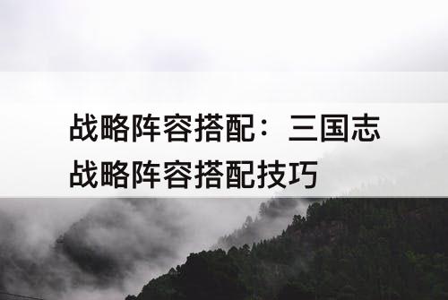 战略阵容搭配：三国志战略阵容搭配技巧
