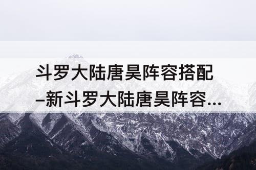 斗罗大陆唐昊阵容搭配-新斗罗大陆唐昊阵容搭配