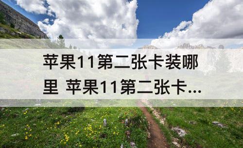 苹果11第二张卡装哪里 苹果11第二张卡装哪里视屏
