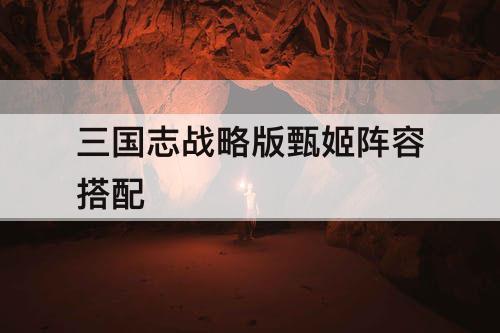 三国志战略版甄姬阵容搭配