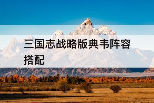 三国志战略版典韦阵容搭配