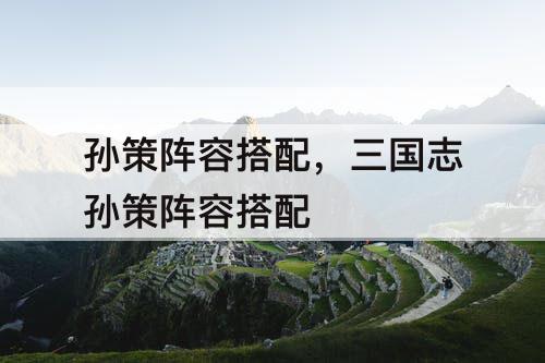 孙策阵容搭配，三国志孙策阵容搭配