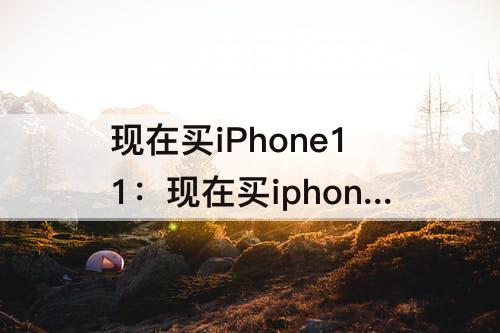 现在买iPhone11：现在买iphone11promax划算吗