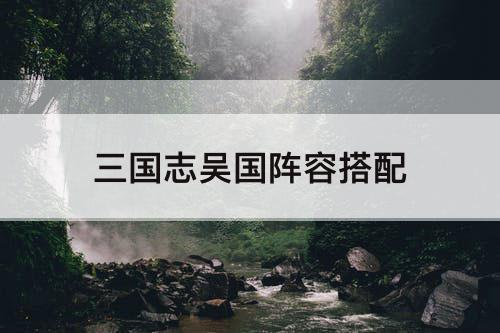 三国志吴国阵容搭配