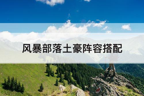 风暴部落土豪阵容搭配