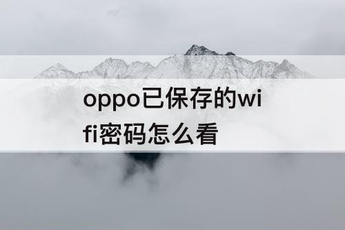 oppo已保存的wifi密码怎么看