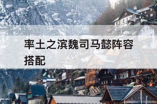 率土之滨魏司马懿阵容搭配