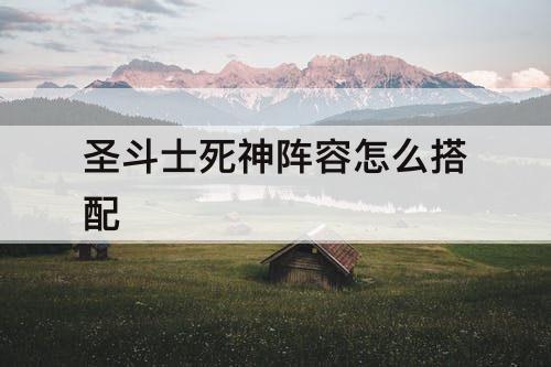 圣斗士死神阵容怎么搭配