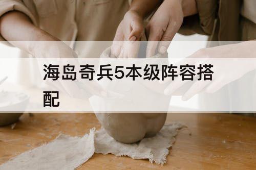 海岛奇兵5本级阵容搭配