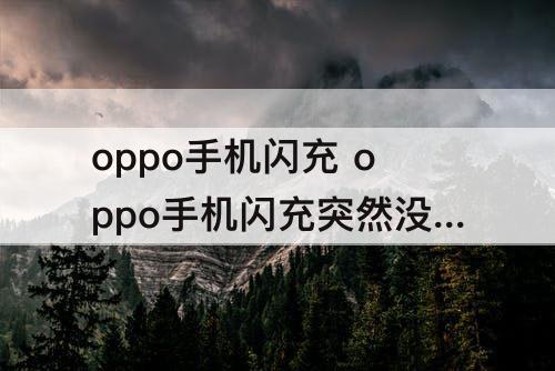 oppo手机闪充 oppo手机闪充突然没有了怎么办