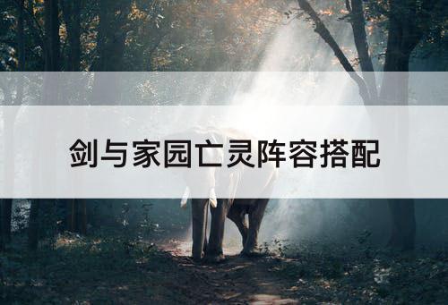 剑与家园亡灵阵容搭配