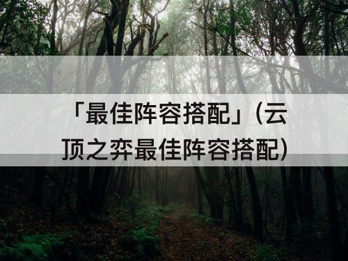 「最佳阵容搭配」(云顶之弈最佳阵容搭配)