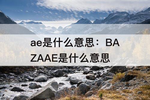 ae是什么意思：BAZAAE是什么意思