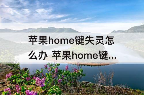 苹果home键失灵怎么办 苹果home键失灵怎么办没法下载