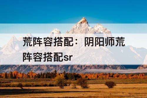 荒阵容搭配：阴阳师荒阵容搭配sr