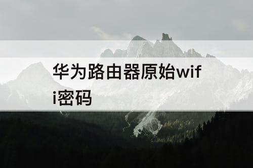 华为路由器原始wifi密码