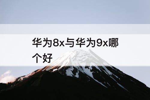 华为8x与华为9x哪个好