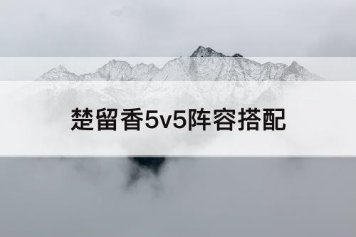 楚留香5v5阵容搭配
