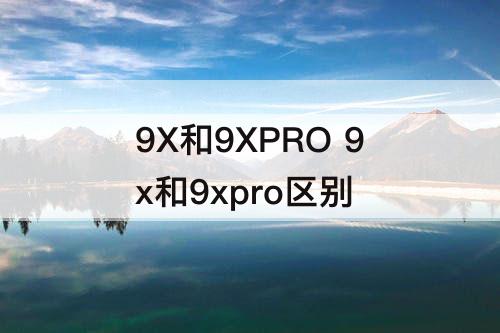 9X和9XPRO 9x和9xpro区别