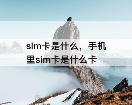sim卡是什么，手机里sim卡是什么卡
