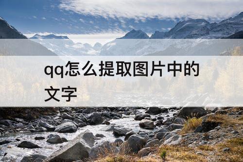 qq怎么提取图片中的文字