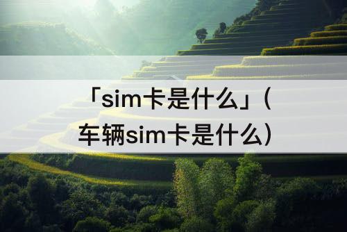 「sim卡是什么」(车辆sim卡是什么)