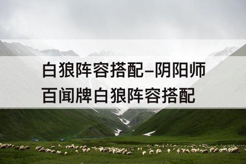 白狼阵容搭配-阴阳师百闻牌白狼阵容搭配