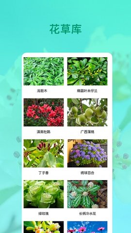 花卉识别  v3.0.1图3