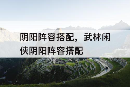阴阳阵容搭配，武林闲侠阴阳阵容搭配