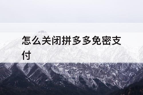 怎么关闭拼多多免密支付