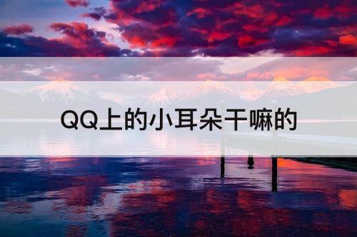 QQ上的小耳朵干嘛的
