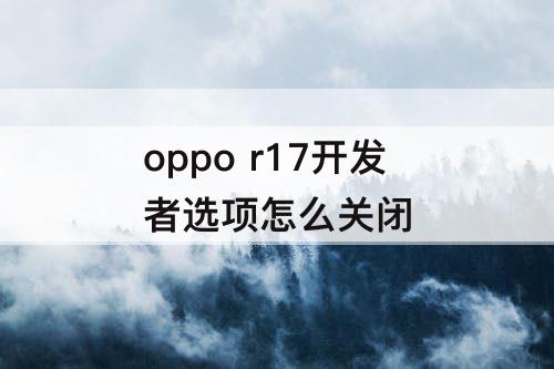 oppo r17开发者选项怎么关闭