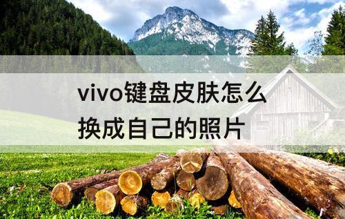 vivo键盘皮肤怎么换成自己的照片