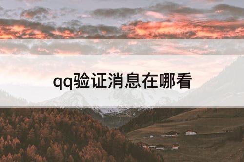 qq验证消息在哪看