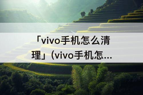「vivo手机怎么清理」(vivo手机怎么清理垃圾最干净视频)