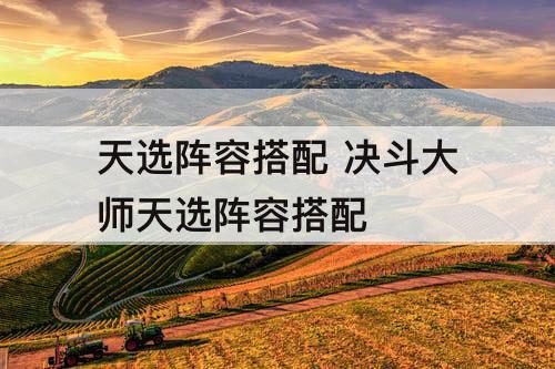 天选阵容搭配 决斗大师天选阵容搭配
