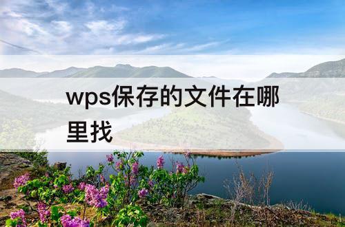 wps保存的文件在哪里找
