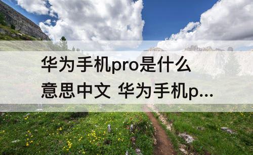 华为手机pro是什么意思中文 华为手机pro是什么意思中文翻译