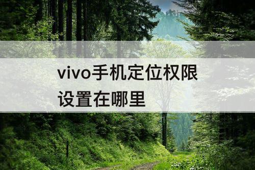 vivo手机定位权限设置在哪里