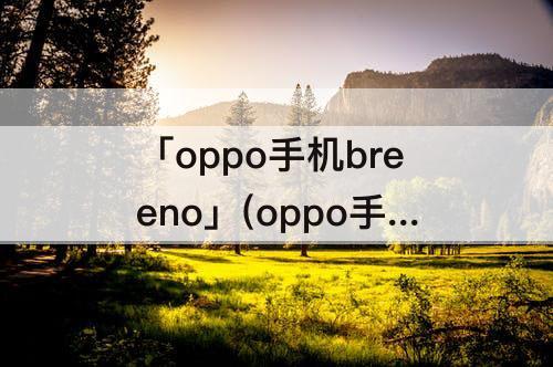 「oppo手机breeno」(oppo手机breeno空间在哪里)
