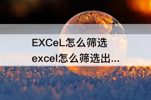 EXCeL怎么筛选 excel怎么筛选出自己想要的内容