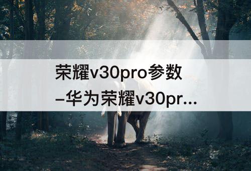 荣耀v30pro参数-华为荣耀v30pro参数